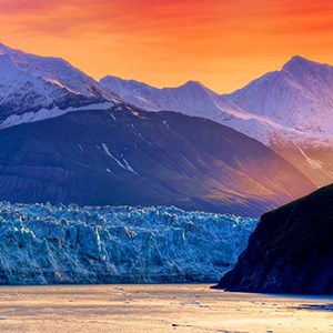 2025 Wild Alaska Adventure