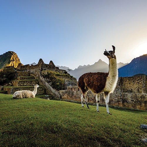 2025 Machu Picchu Incan Adventure