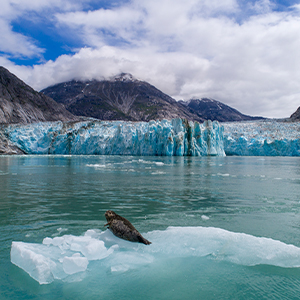 2026 Alaska in Spring Cruise