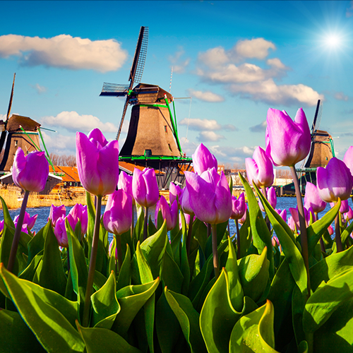 2027 Amsterdam to Switzerland Riverboat Cruise