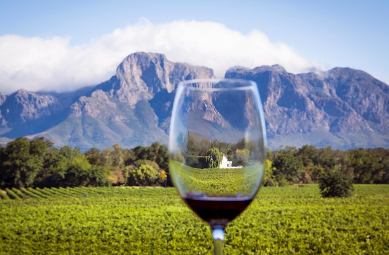 2028 South Africa: Cape Town, Vineyards & Safari Adventure